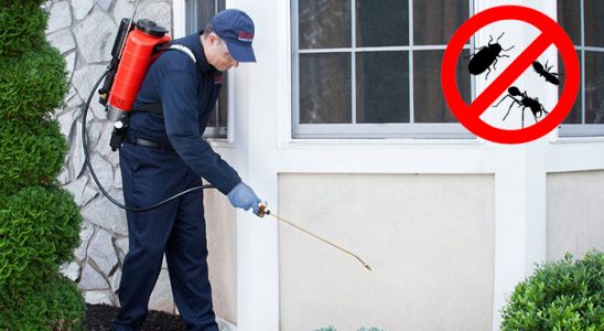 Yeşilli Böcek İlaçlama böcek ilaçlama ve haşere kontrolü — ilaclama-tr.com